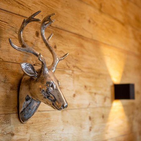 Auszeit Im Harz Haus 3 Wohnung 6 Braunlage Buitenkant foto