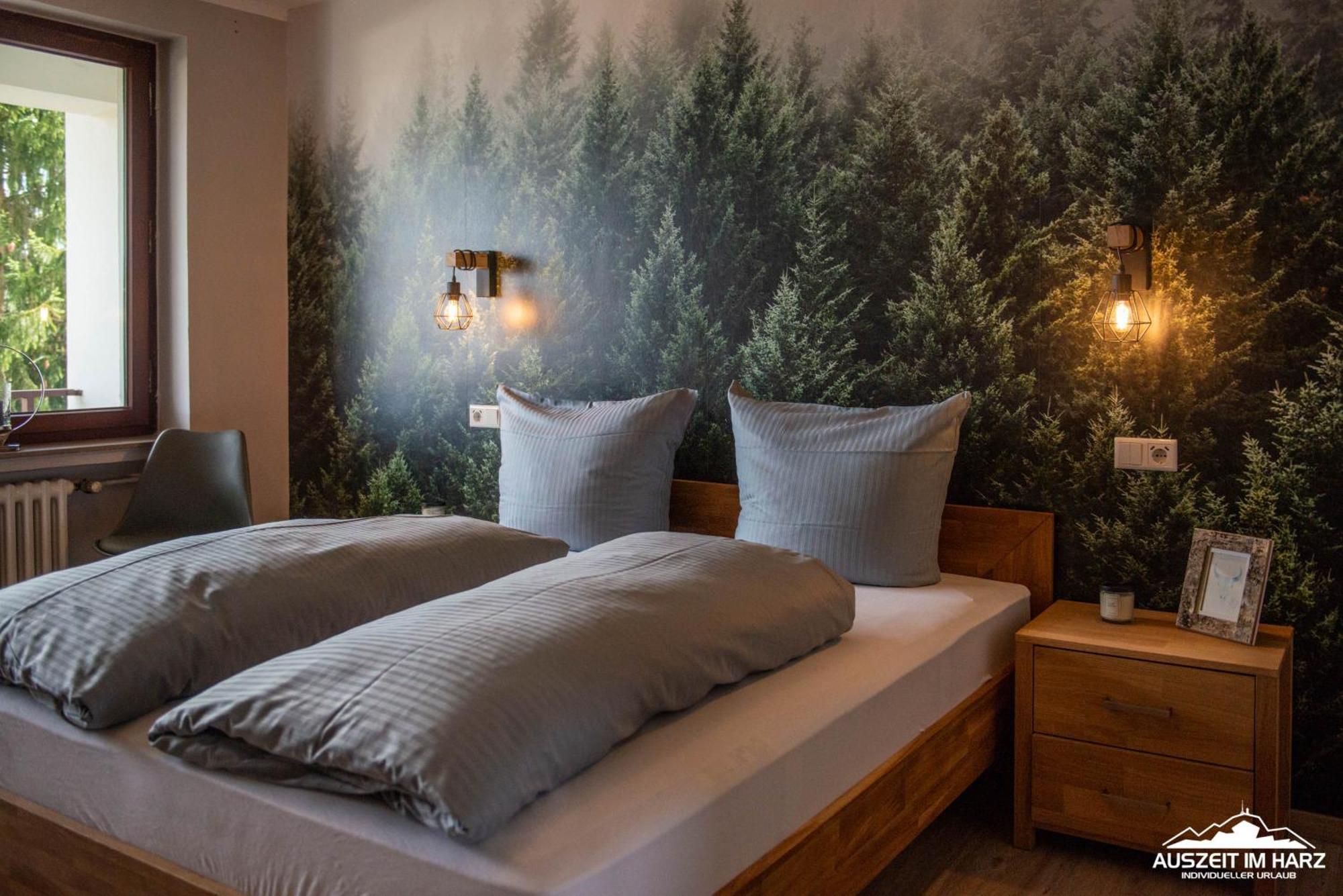 Auszeit Im Harz Haus 3 Wohnung 6 Braunlage Buitenkant foto