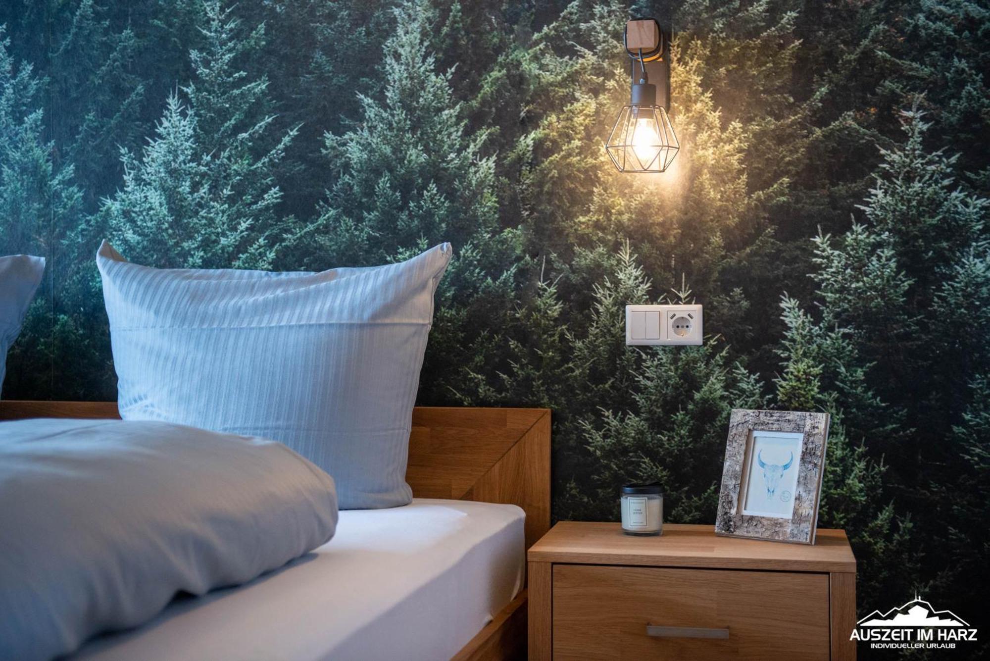 Auszeit Im Harz Haus 3 Wohnung 6 Braunlage Buitenkant foto